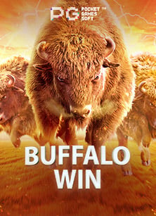 queen สล็อต เวลา เล่น สล็อต สุดยอดเกมเดิมพันที่คุณต้องลอง