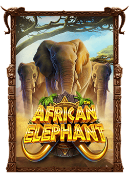 รีวิว Tiki Fruits Slot เกมสล็อตสนุกจาก Joker Gaming